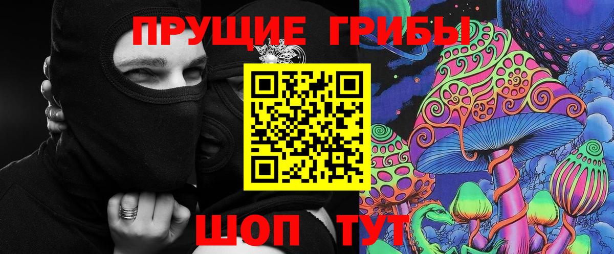 Майский  Галлюциногенные грибы Psilocybine cubensis  Вход с VPN 