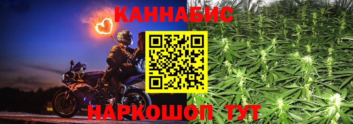 Конопля MAZAR  Вход с VPN  Майский  Канабис сатива  Конопля ГИДРОПОН 